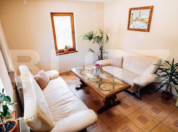 Spațiu comercial de vânzare Sovata - 163462SVC | BLITZ Târgu Mureș | Poza11