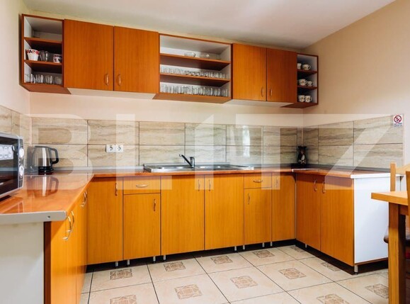 Spațiu comercial de vânzare Sovata - 163462SVC | BLITZ Târgu Mureș | Poza17