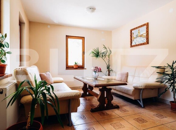 Spațiu comercial de vânzare Sovata - 163462SVC | BLITZ Târgu Mureș | Poza10