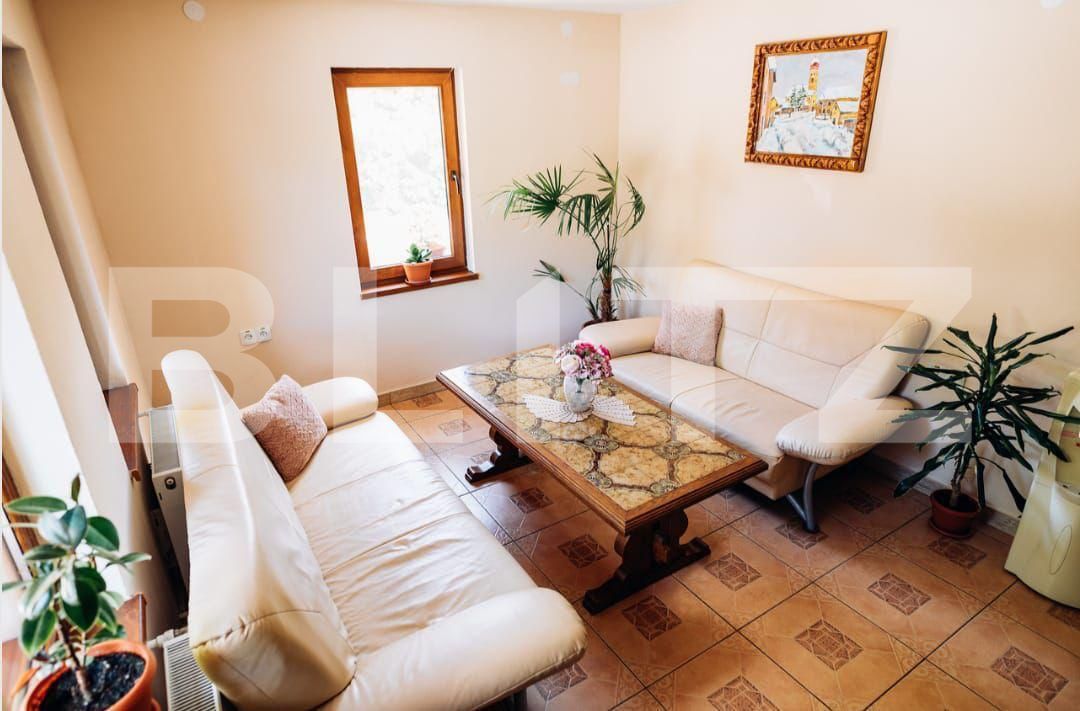 Spațiu comercial de vânzare Sovata - 163462SVC | BLITZ Târgu Mureș | Poza11