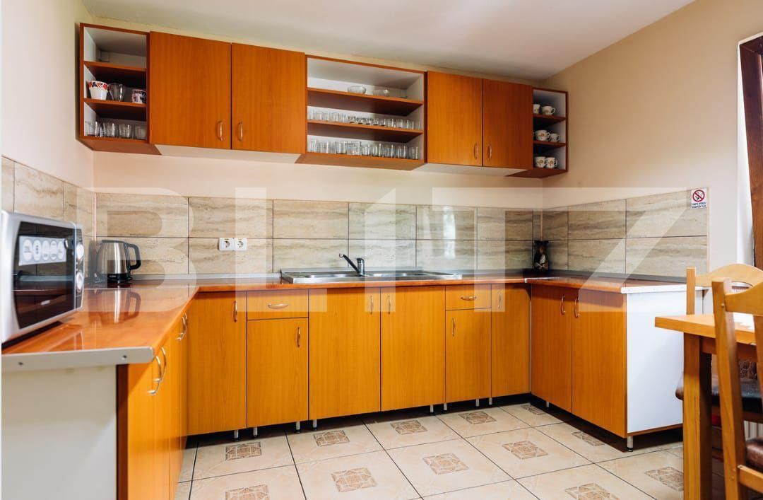 Spațiu comercial de vânzare Sovata - 163462SVC | BLITZ Târgu Mureș | Poza17