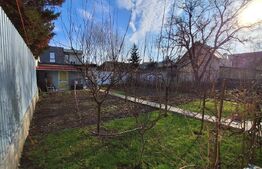 Casa cocheta in inima orasului . 