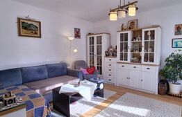 Casa cocheta in inima orasului . 