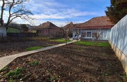 Casa cocheta in inima orasului . 