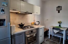 Casa cocheta in inima orasului . 