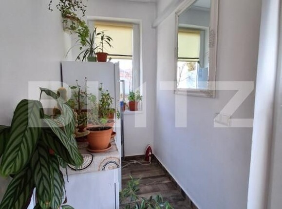 Casa de vânzare 2 camere Budai - 163466CV | BLITZ Târgu Mureș | Poza10