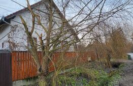 Ocazie Unica! Casa in Livezeni cu 1600 mp Teren cu o a doua casa pe proprietate