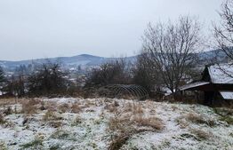 Ocazie Unica! Casa in Livezeni cu 1600 mp Teren cu o a doua casa pe proprietate