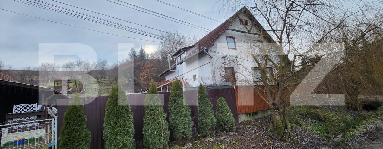 Casa de vânzare 5 camere Livezeni - 163490CV | BLITZ Târgu Mureș | Poza6