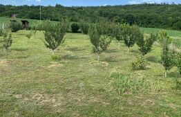 Casă deosebită Râciu cu o priveliște superbă 