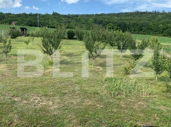 Casa de vânzare 4 camere Raciu - 163592CV | BLITZ Târgu Mureș | Poza2