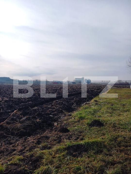 Teren de vânzare Iernut - 163627TV | BLITZ Târgu Mureș | Poza3