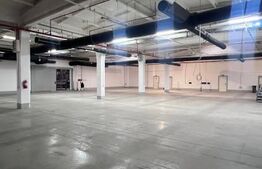 Hala Moderna in LUDUS la 7 km de autostrada, la cheie. 