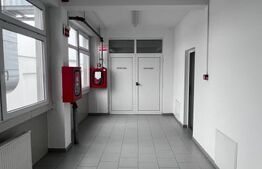 Hala Moderna in LUDUS la 7 km de autostrada, la cheie. 