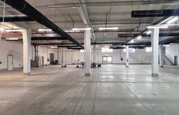 Hala Moderna in LUDUS la 7 km de autostrada, la cheie. 