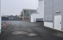 Hala Moderna in LUDUS la 7 km de autostrada, la cheie. 