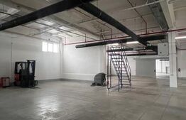 Hala Moderna in LUDUS la 7 km de autostrada, la cheie. 