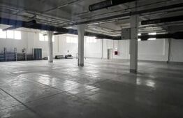 Hala Moderna in LUDUS la 7 km de autostrada, la cheie. 