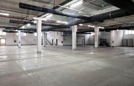 Hala Moderna in LUDUS la 7 km de autostrada, la cheie. 