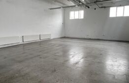 Hala Moderna in LUDUS la 7 km de autostrada, la cheie. 