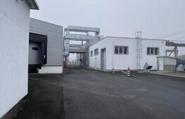 Hala Moderna in LUDUS la 7 km de autostrada, la cheie. 