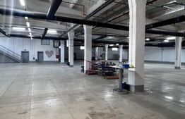 Hala Moderna in LUDUS la 7 km de autostrada, la cheie. 