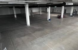 Hala Moderna in LUDUS la 7 km de autostrada, la cheie. 