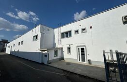 Hala Moderna in LUDUS la 7 km de autostrada, la cheie. 