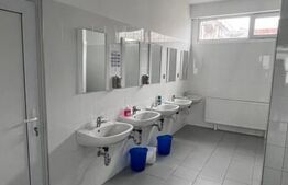 Hala Moderna in LUDUS la 7 km de autostrada, la cheie. 