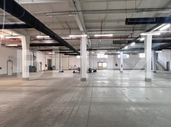 Spațiu industrial de închiriat Ludus - 163655SII | BLITZ Târgu Mureș | Poza1