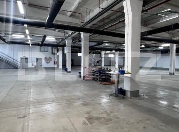 Spațiu industrial de închiriat Ludus - 163655SII | BLITZ Târgu Mureș | Poza7