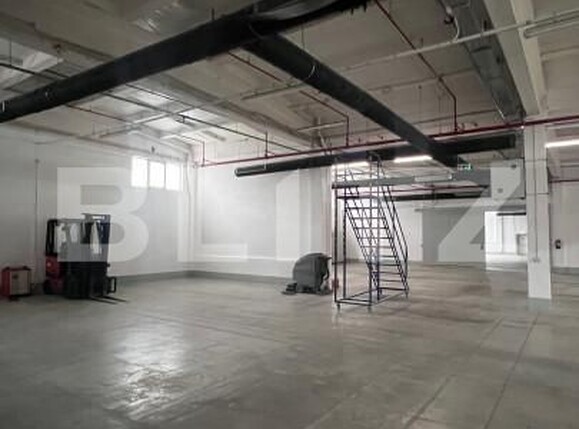 Spațiu industrial de închiriat Ludus - 163655SII | BLITZ Târgu Mureș | Poza11