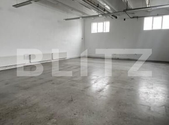 Spațiu industrial de închiriat Ludus - 163655SII | BLITZ Târgu Mureș | Poza13
