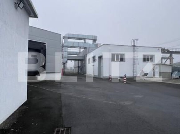 Spațiu industrial de închiriat Ludus - 163655SII | BLITZ Târgu Mureș | Poza9