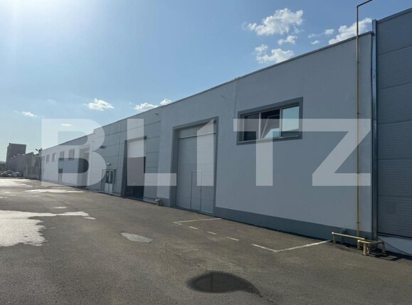 Spațiu industrial de închiriat Ludus - 163655SII | BLITZ Târgu Mureș | Poza24