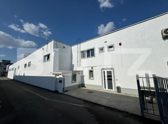 Spațiu industrial de închiriat Ludus - 163655SII | BLITZ Târgu Mureș | Poza12