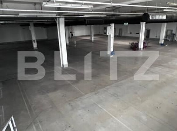 Spațiu industrial de închiriat Ludus - 163655SII | BLITZ Târgu Mureș | Poza3