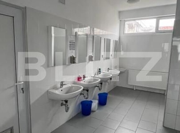 Spațiu industrial de închiriat Ludus - 163655SII | BLITZ Târgu Mureș | Poza24