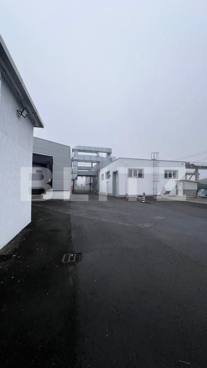 Spațiu industrial de închiriat Ludus - 163655SII | BLITZ Târgu Mureș | Poza9