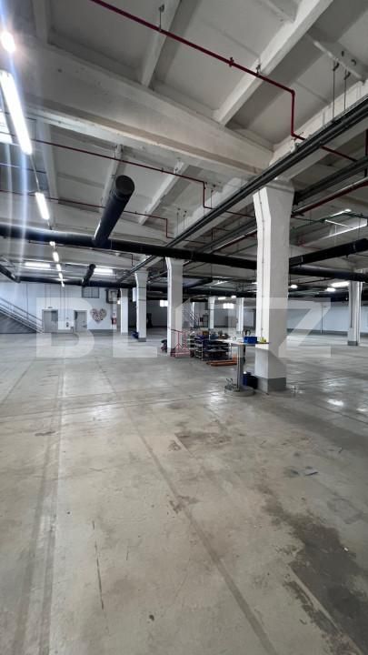Spațiu industrial de închiriat Ludus - 163655SII | BLITZ Târgu Mureș | Poza7