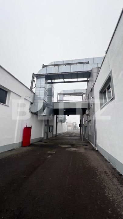 Spațiu industrial de închiriat Ludus - 163655SII | BLITZ Târgu Mureș | Poza15