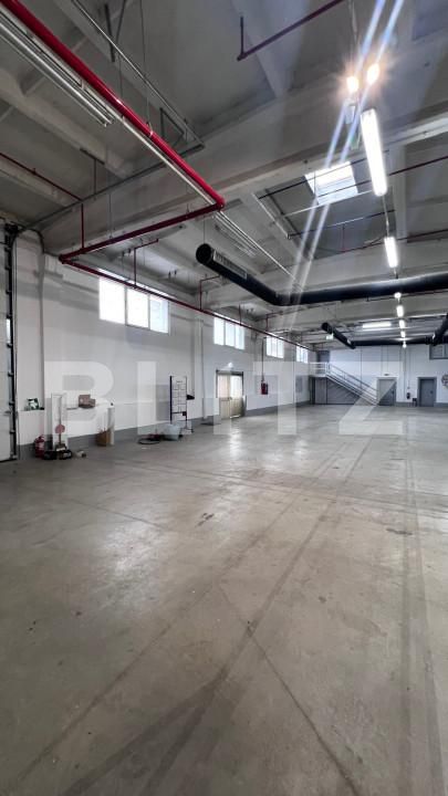 Spațiu industrial de închiriat Ludus - 163655SII | BLITZ Târgu Mureș | Poza6