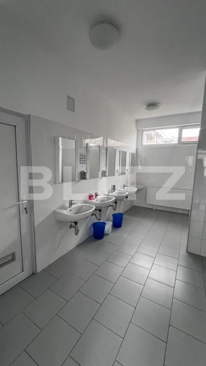 Spațiu industrial de închiriat Ludus - 163655SII | BLITZ Târgu Mureș | Poza24