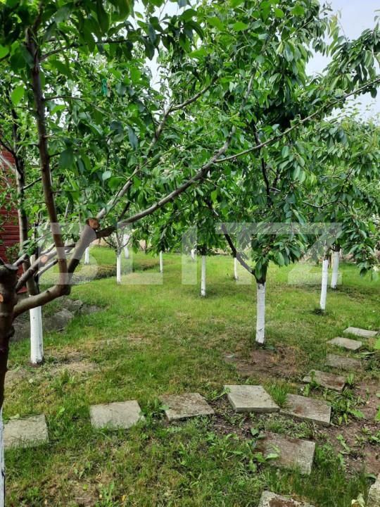 Casa de vânzare 2 camere Bogata - 164105CV | BLITZ Târgu Mureș | Poza6