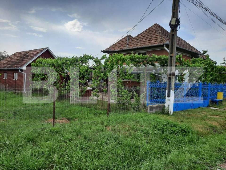 Casa de vânzare 2 camere Bogata - 164105CV | BLITZ Târgu Mureș | Poza4