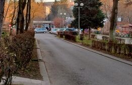 Apartament de inchiriat, 60 mp, 2 camere, zona Dacia 