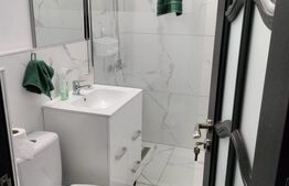Apartament de inchiriat, 60 mp, 2 camere, zona Dacia 