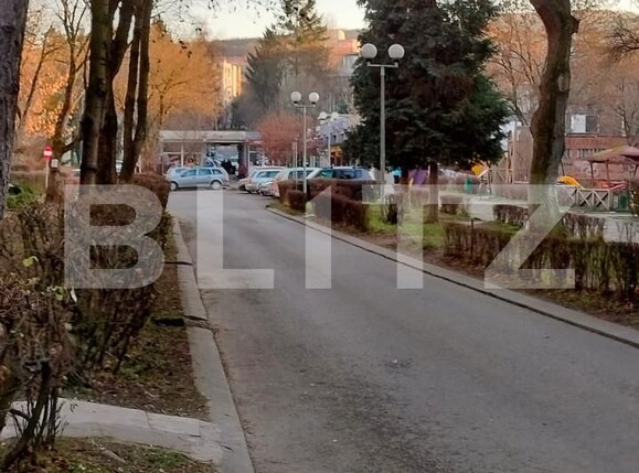 Apartament de închiriat 2 camere Tudorul Vechi - 164125AI | BLITZ Târgu Mureș | Poza13