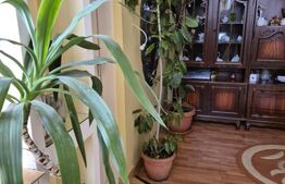 Casa de vanzare, curte comuna cu 1 locatar, 110 mp, zona ultracentrala 