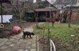 Casa de vanzare, curte comuna cu 1 locatar, 110 mp, zona ultracentrala 